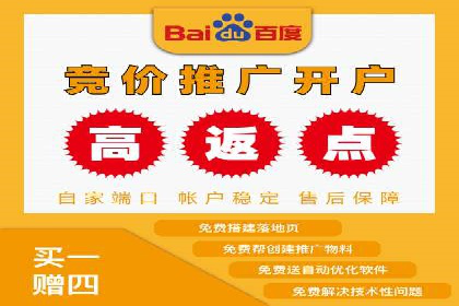 电商平台的关键词竞价排名：销售增长的秘诀